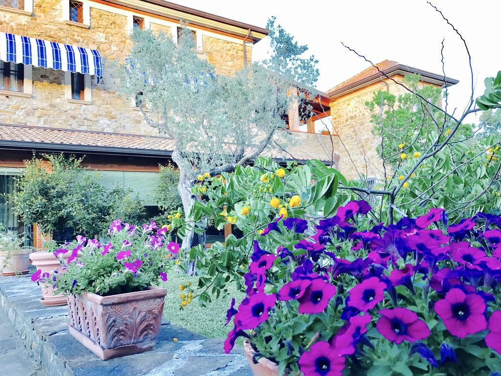 Casa Vacanze Il Cenito Castellabate Eksteriør billede